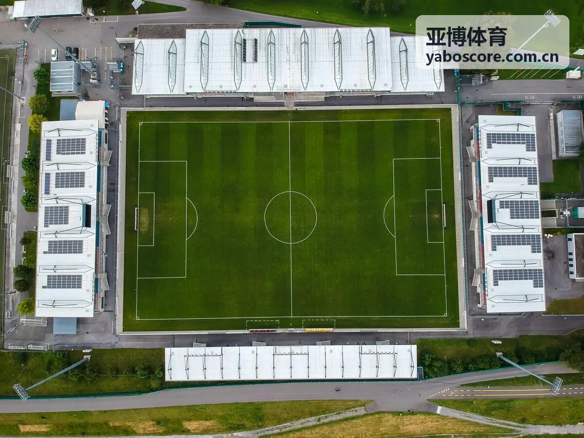 亚博体育篮球运动内容